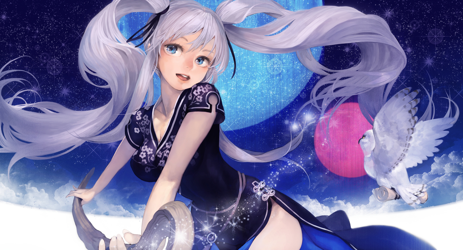 animal, bird, long_hair, mabinogi, nao, toro, twintails