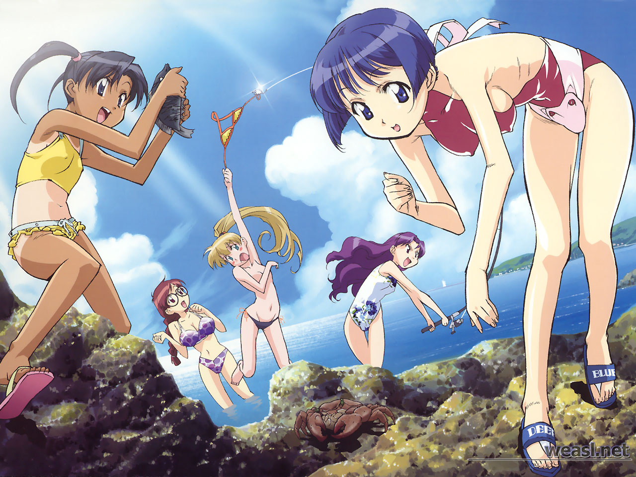 ai_yori_aoshi, animal, beach, crab, minazuki_chika, minazuki_taeko, miyuki_mayu, sakuraba_aoi, swimsuit, tan_lines, tina_foster, topless