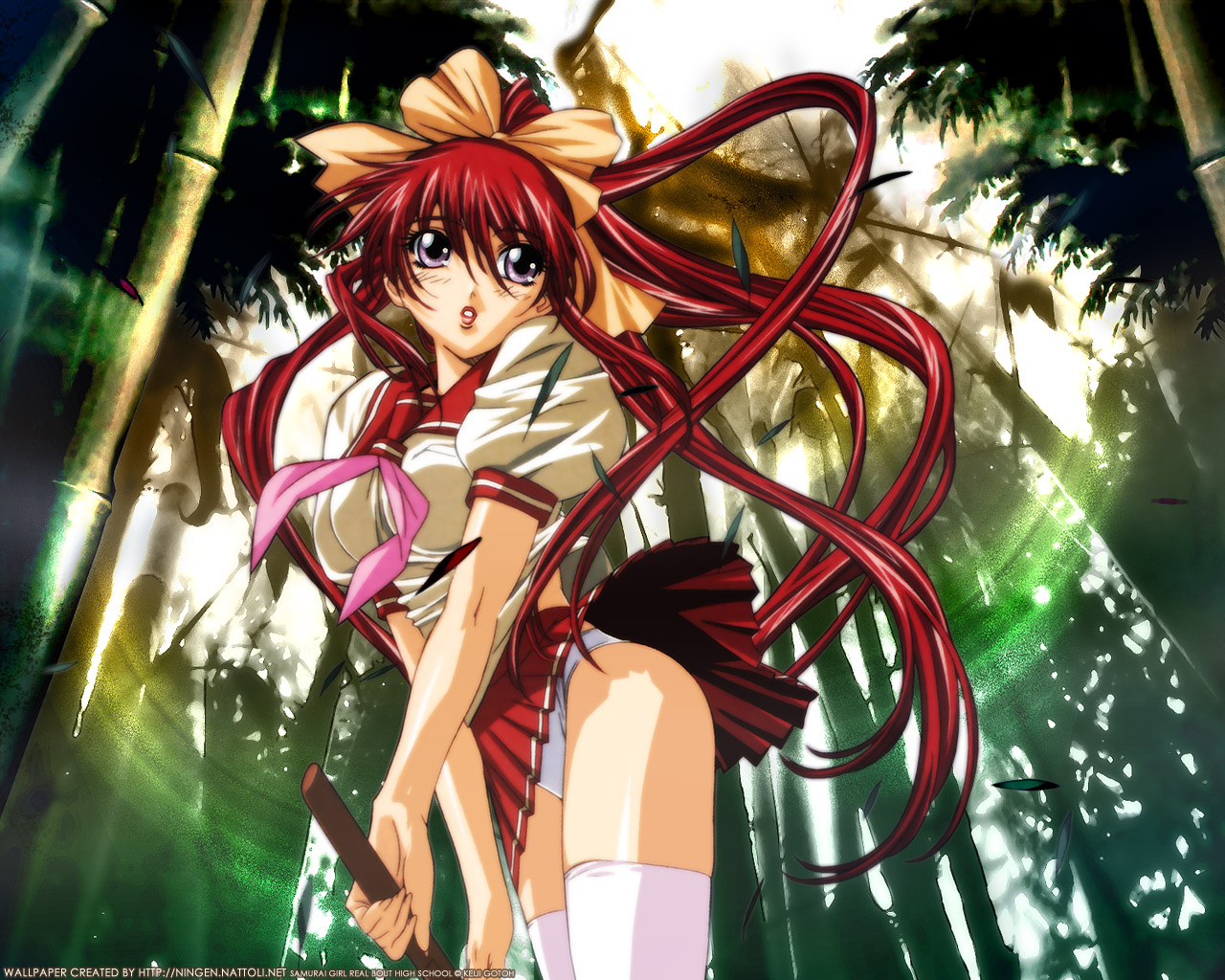 mitsurugi_ryoko, real_bout_high_school, samurai_girl