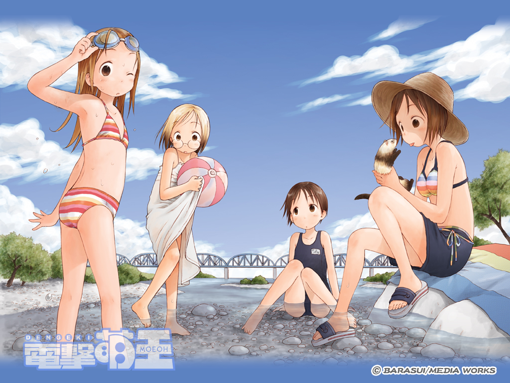animal, barasui, dengeki_moeoh, ferret, goggles, group, ichigo_mashimaro, itou_chika