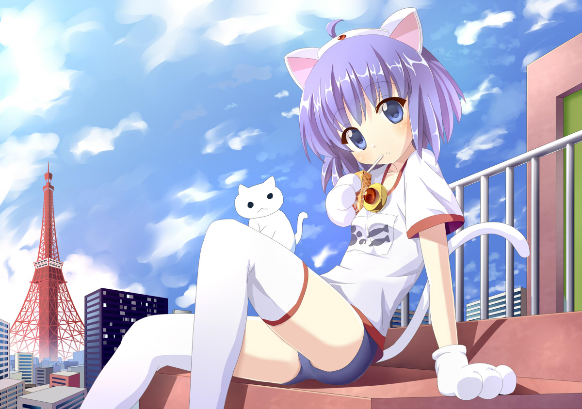animal, animal_ears, bloomers, blue_eyes, blue_hair, blush, building, burunyanman, cat, catgirl, city, drink, flat_chest, francis_(ohne), gym_uniform, rooftop, short_hair, sky, soreyuke!_burunyanman, tail, thighhighs