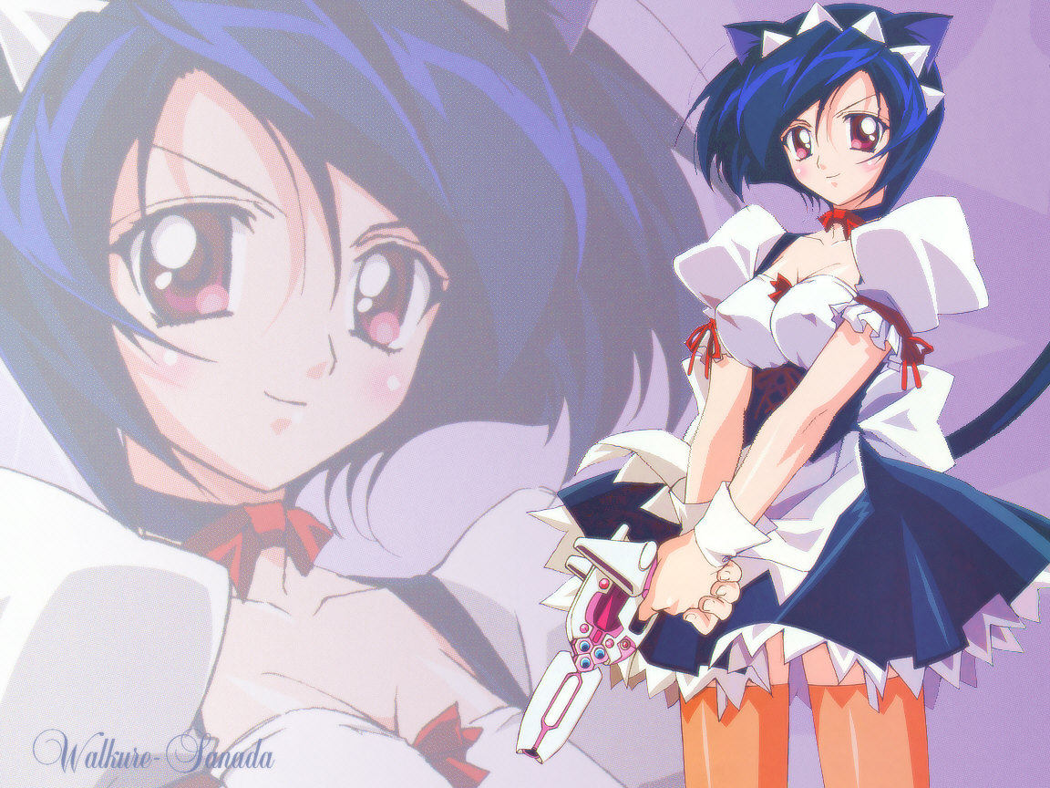 animal_ears, blue_hair, catgirl, maid, pink_eyes, sanada, thighhighs, ufo_princess_valkyrie