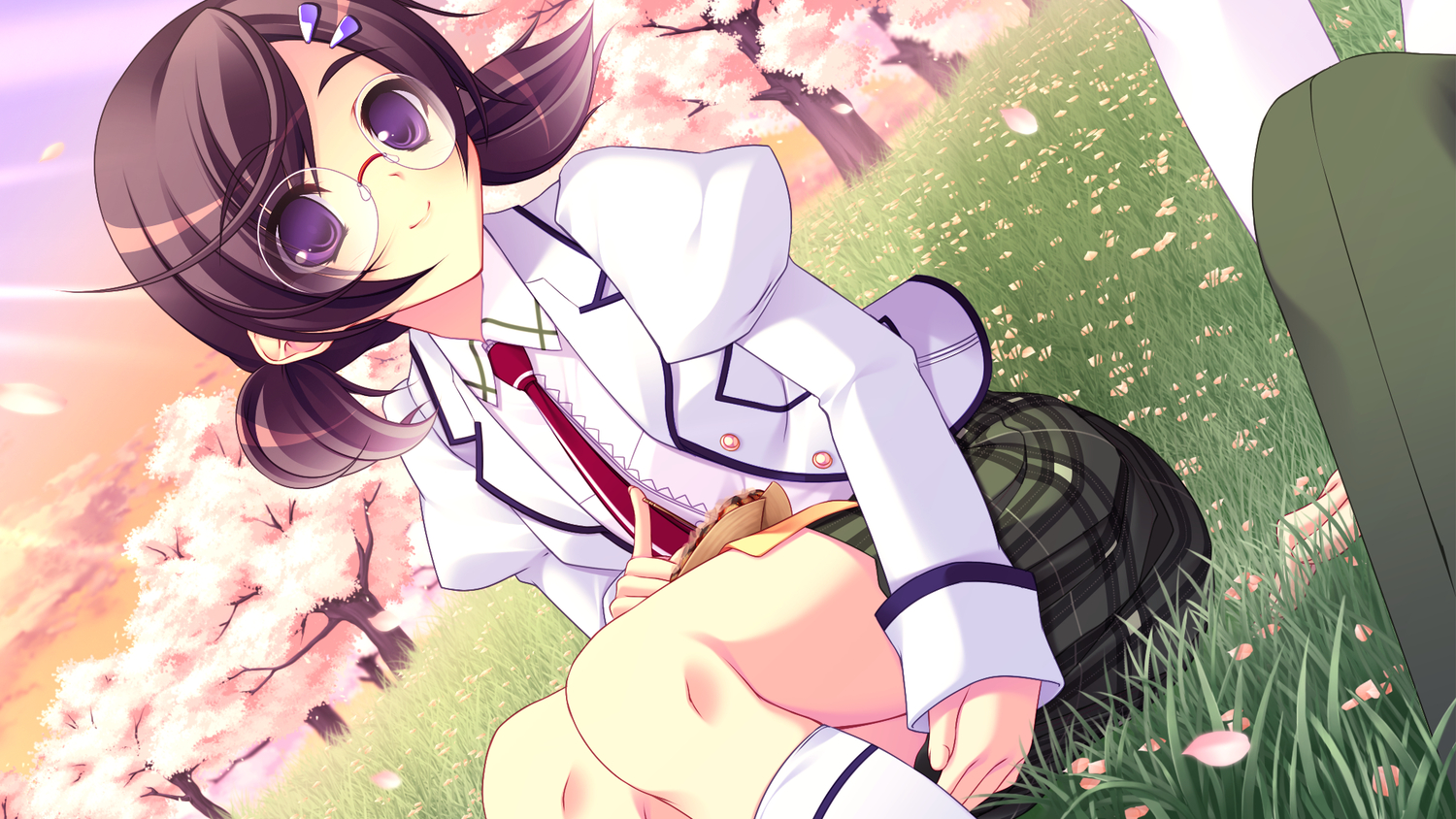 brown_hair, game_cg, grass, hamashima_shigeo, pochi_to_goshujin-sama, purple_eyes, school_uniform, skyfish