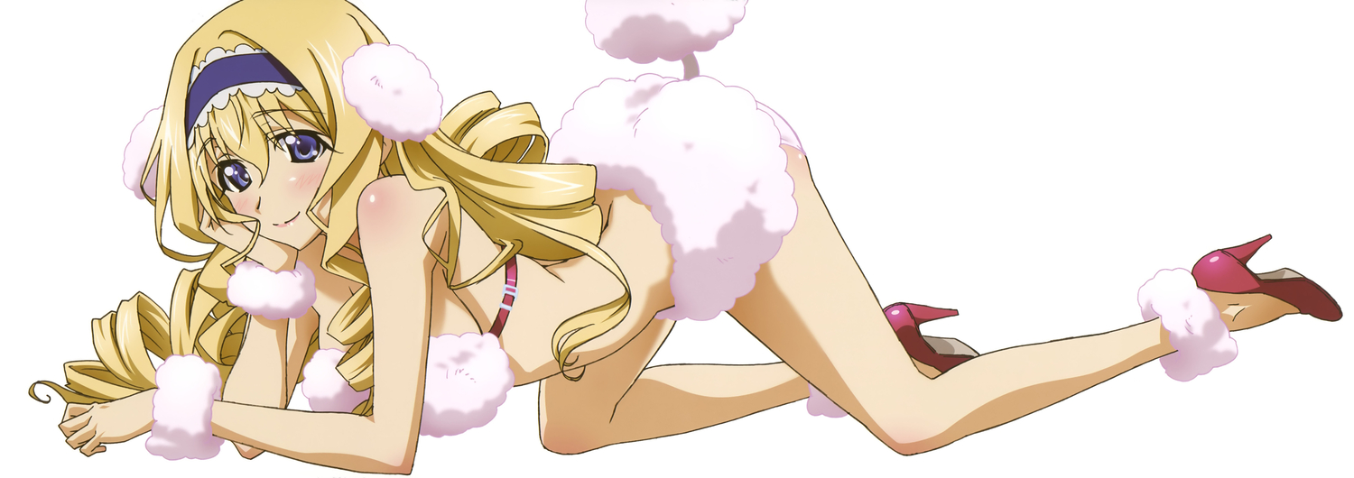 animal_ears, blonde_hair, cecilia_alcott, dualscreen, hashimoto_takayoshi, infinite_stratos, long_hair, tail