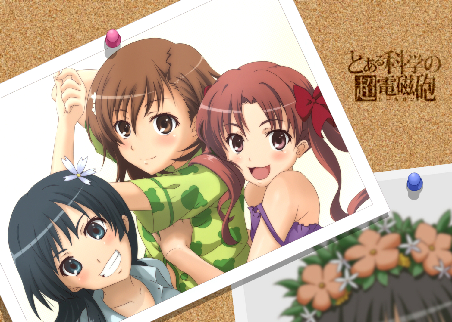 black_hair, blue_eyes, blush, bow, brown_eyes, brown_hair, flowers, headdress, long_hair, misaka_mikoto, natu_(natu-tobira), photo, pink_eyes, saten_ruiko, shirai_kuroko, short_hair, to_aru_kagaku_no_railgun, to_aru_majutsu_no_index, twintails, uiharu_kazari