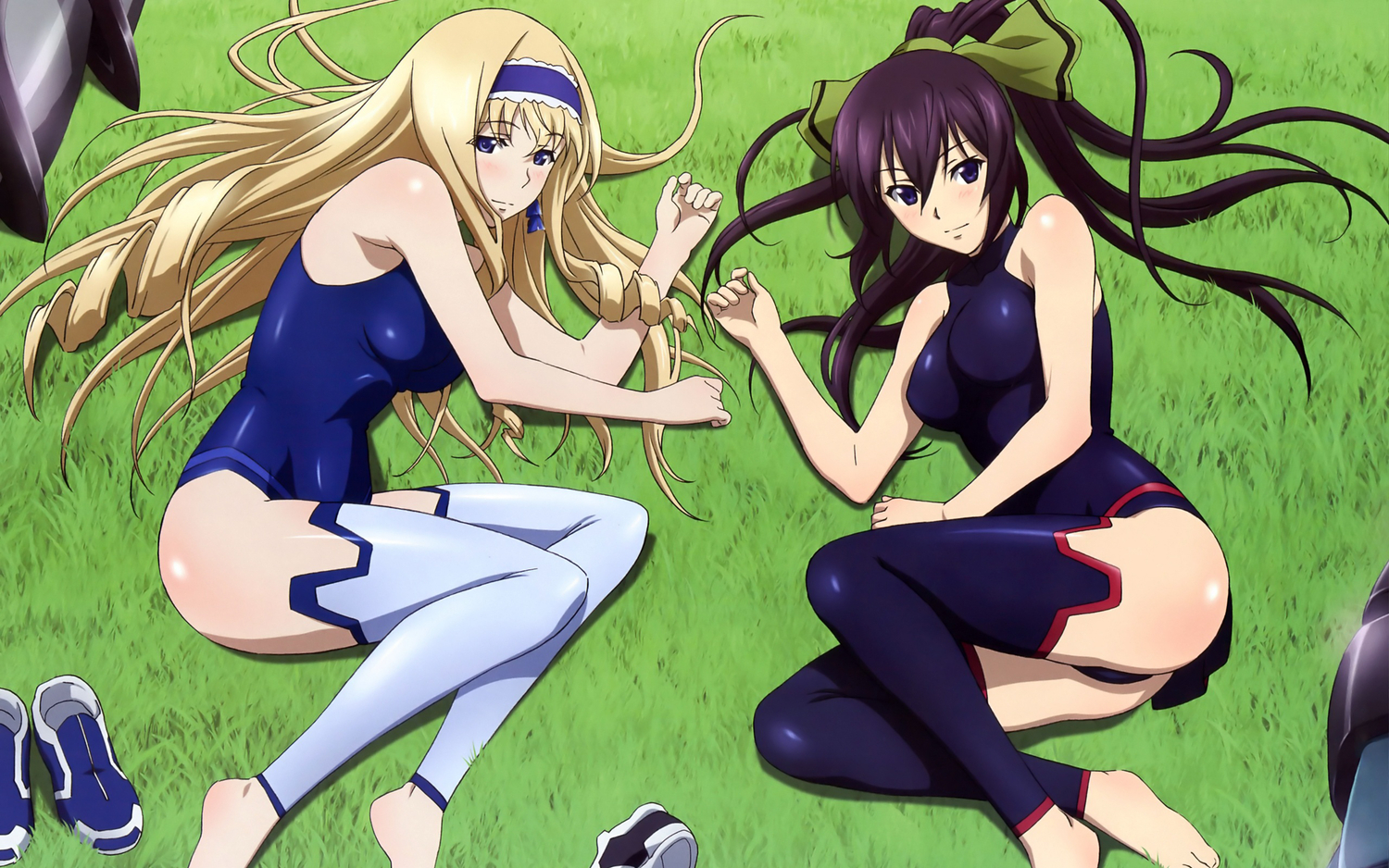 cecilia_alcott, infinite_stratos, shinonono_houki