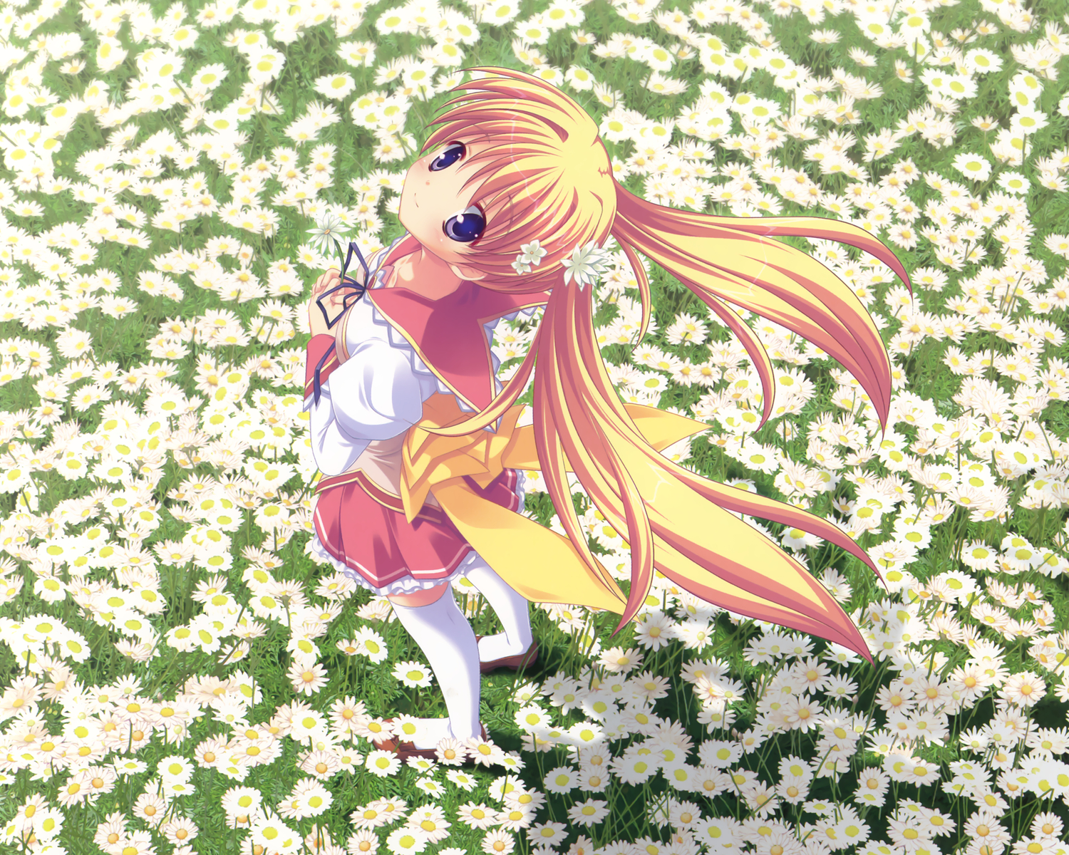 blonde_hair, blue_eyes, konohana_matsuri, marguerite_sphere, school_uniform, thighhighs, yuyi