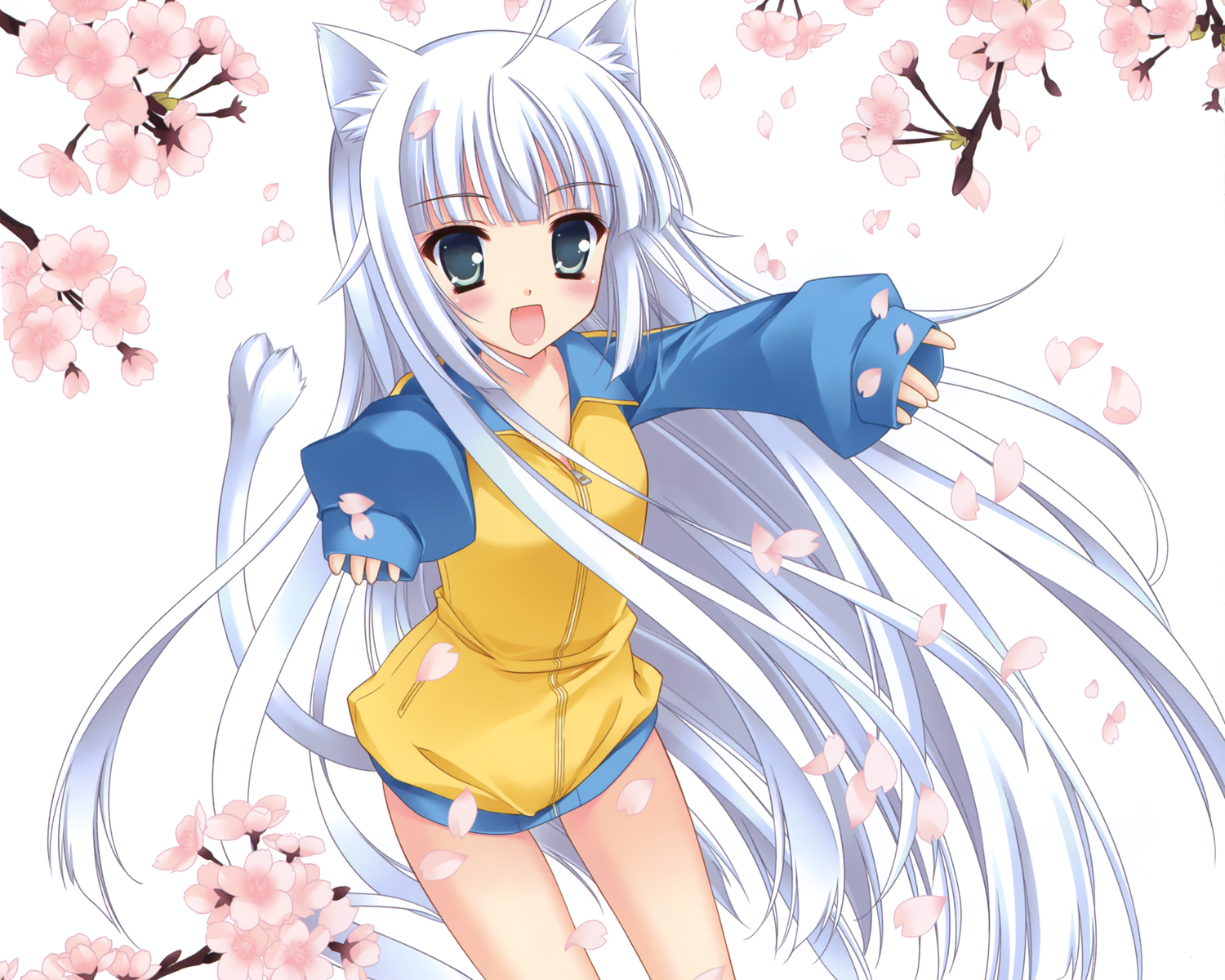 animal_ears, catgirl, dengeki_moeoh, goma_satoshi, green_eyes, loli, petals, tail, white_hair