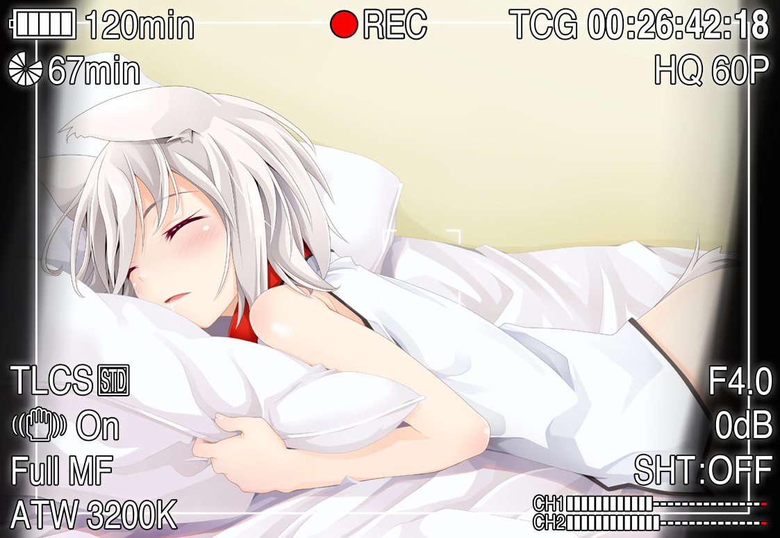 animal_ears, camera, inubashiri_momiji, ogami_kazuki, sleeping, touhou, white_hair, wolfgirl
