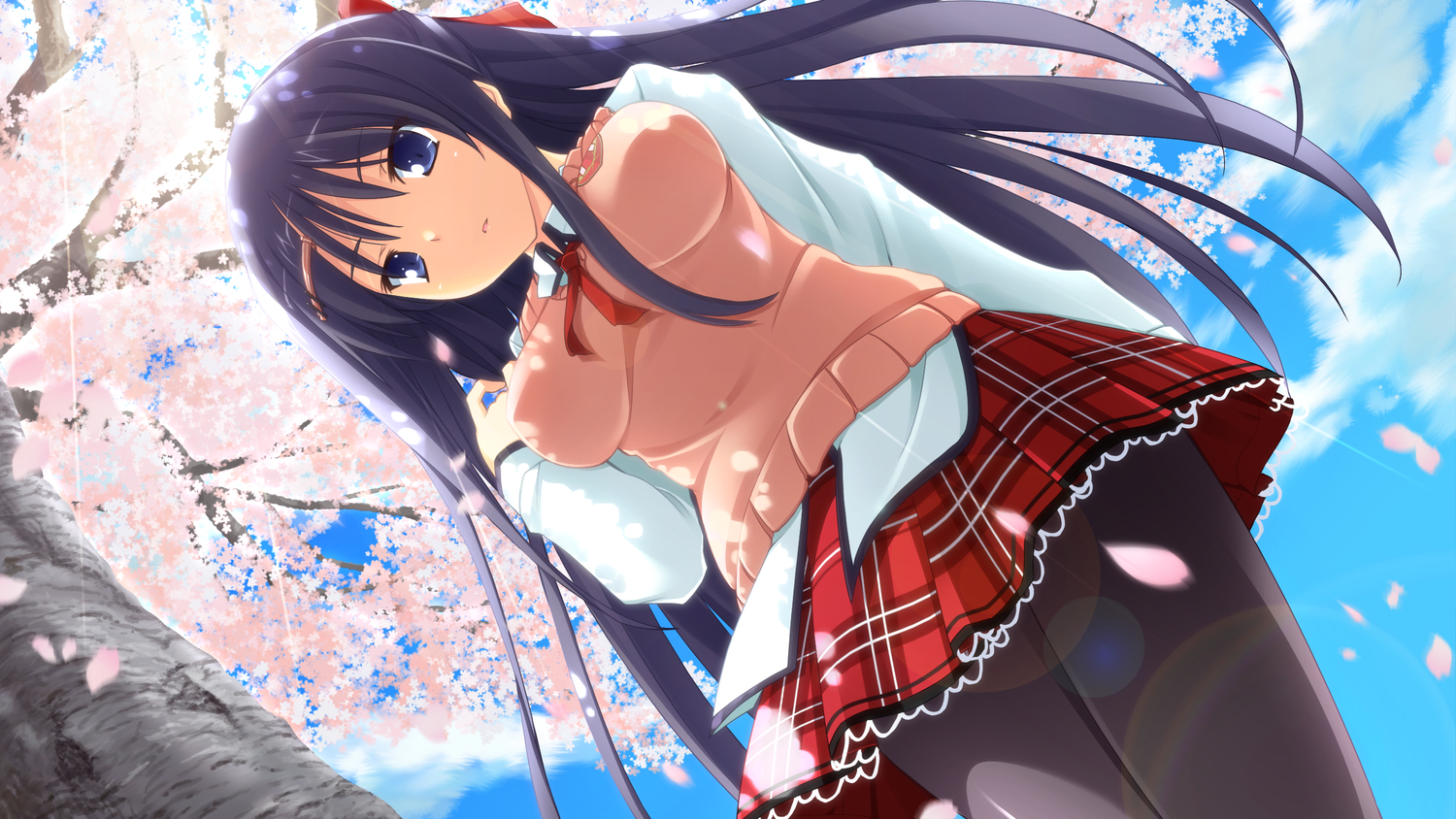 game_cg, long_hair, mutou_kurihito, pantyhose, petals, school_uniform, shunki_gentei_poco_a_poco, tree, yuki_natsume