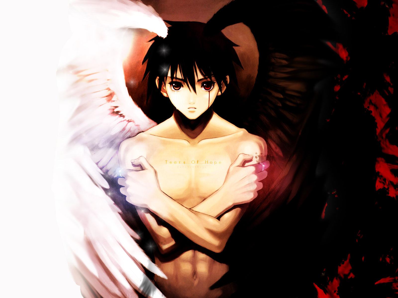 all_male, male, shining_tears, taka_tony, wings, xion