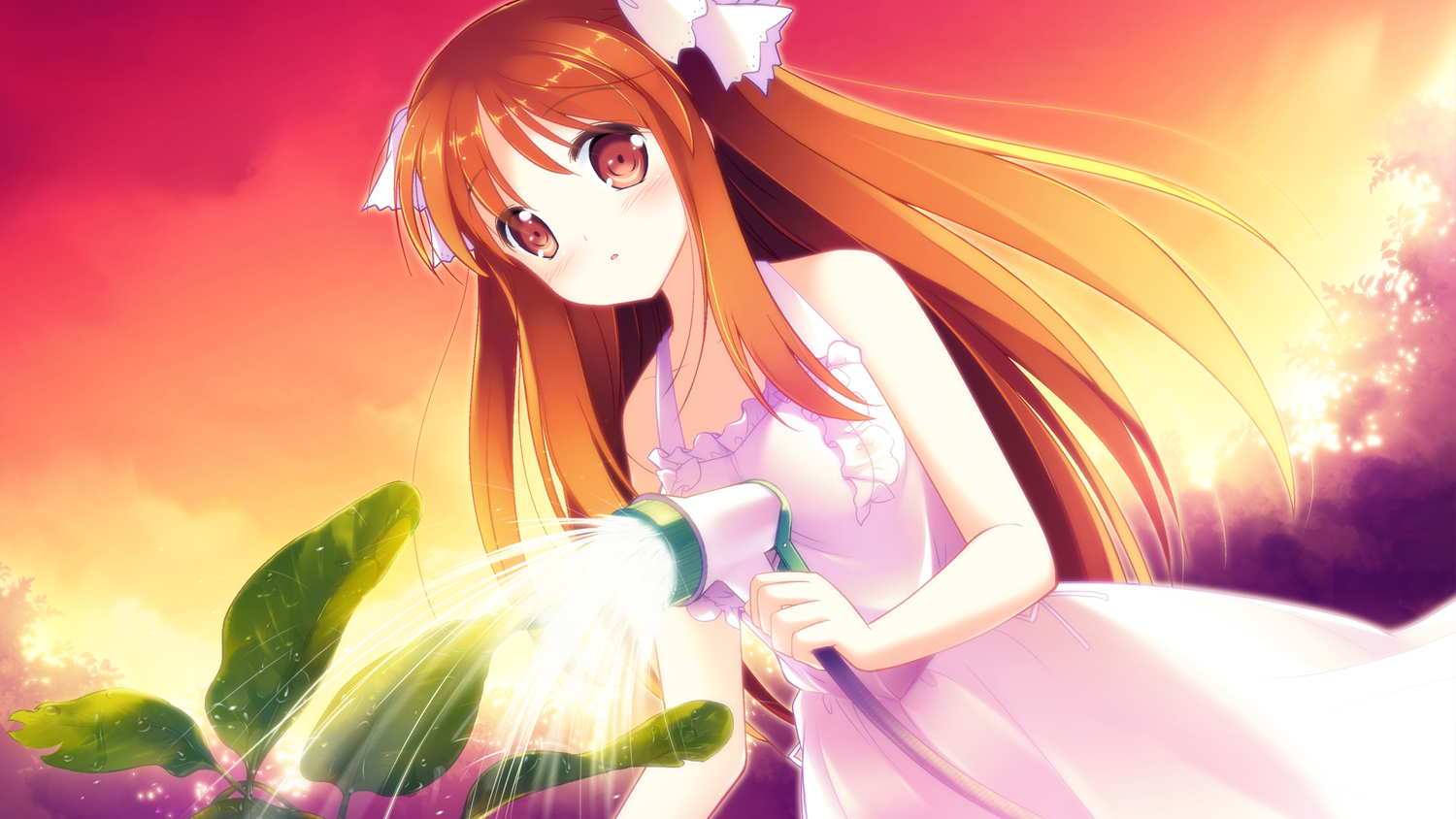 game_cg, pulltop, sanemaki_nozomi, shinsei_ni_shite_okasubekarazu, watari_masahito