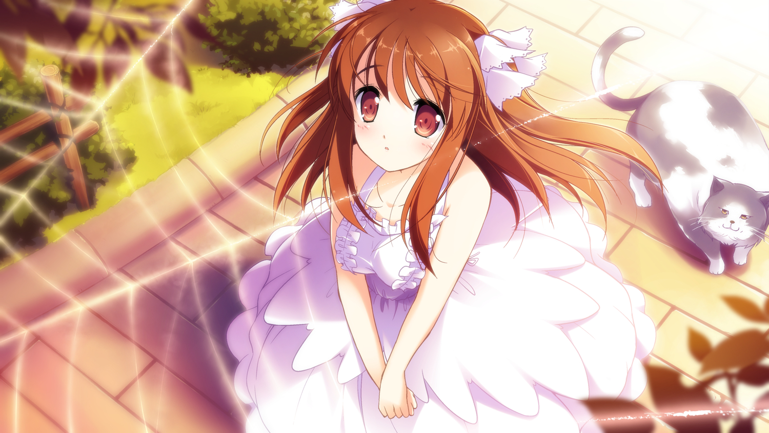 game_cg, pulltop, sanemaki_nozomi, shinsei_ni_shite_okasubekarazu, watari_masahito