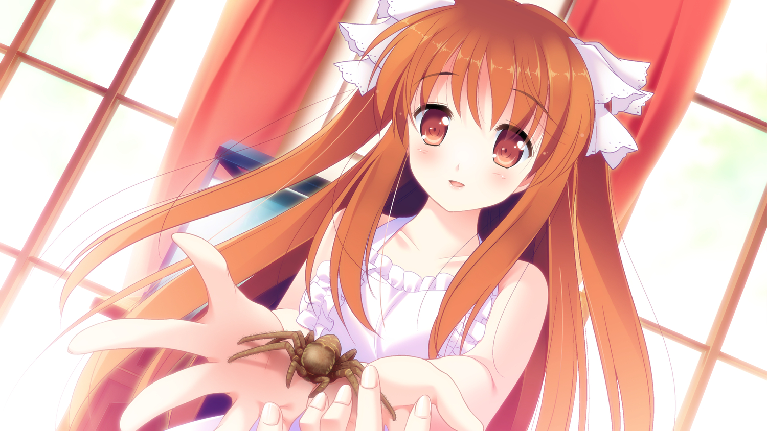 game_cg, pulltop, sanemaki_nozomi, shinsei_ni_shite_okasubekarazu, watari_masahito