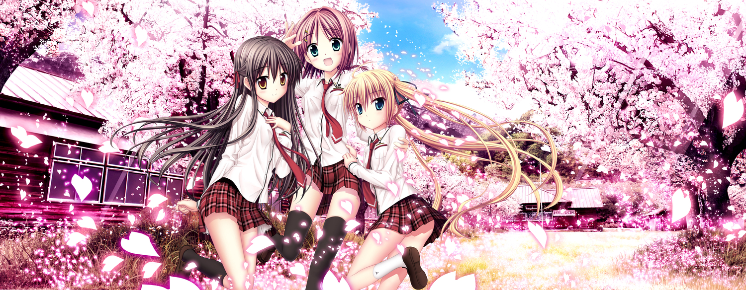 akizuki_tsukasa, cherry_blossoms, dualscreen, flowers, haruno_tsubame, karasuma_miyako, minato_miu, sakura_sakimashita, sorahane