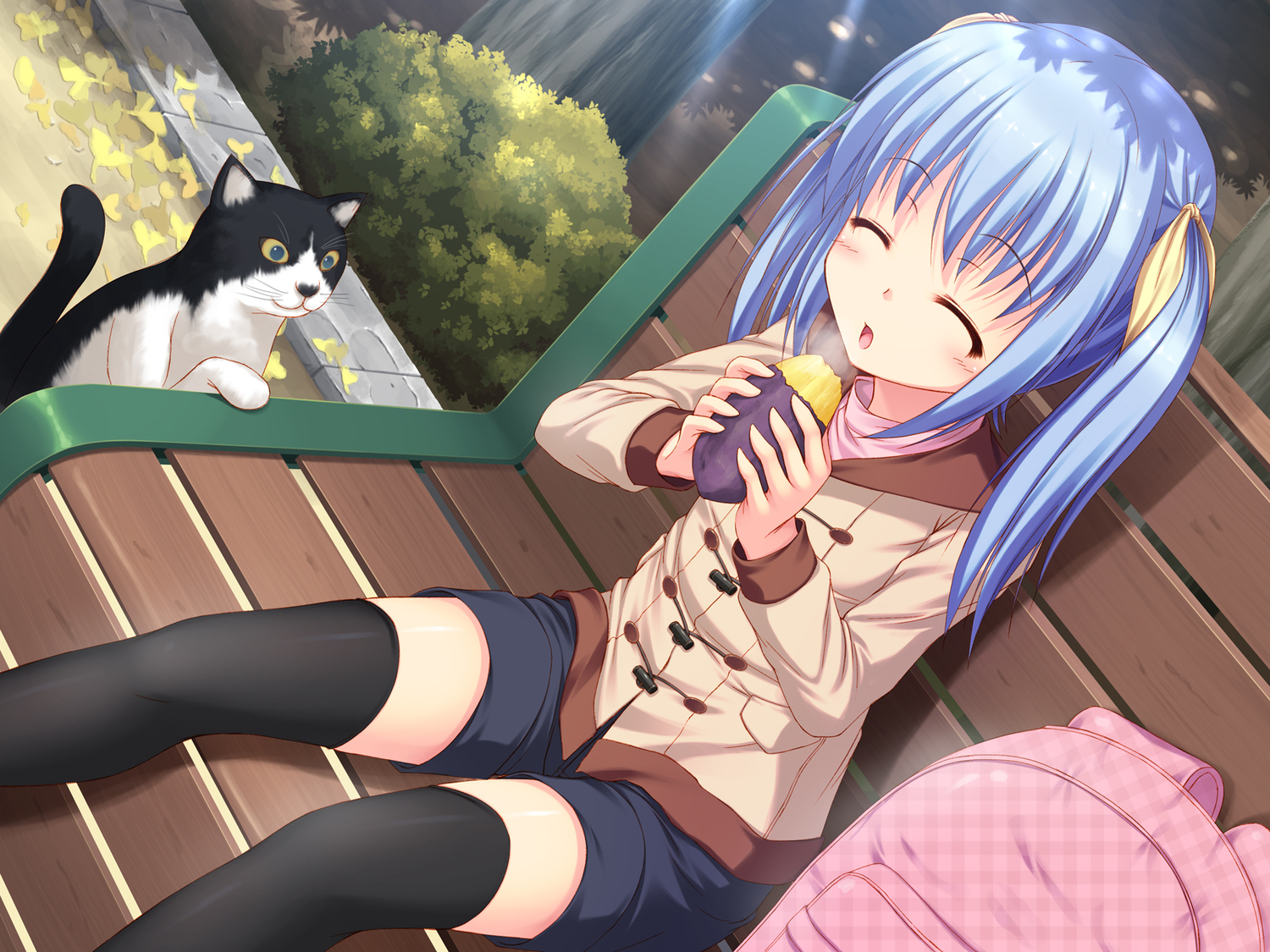 animal, blue_hair, cat, food, kageira, original, thighhighs