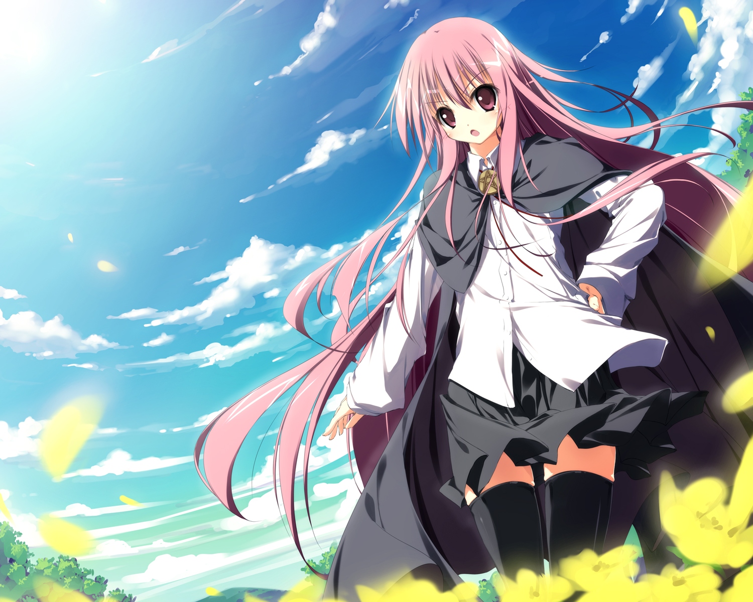 flowers, hirokazu_kine, louise_françoise_le_blanc_de_la_vallière, petals, pink_hair, sky, thighhighs, zero_no_tsukaima