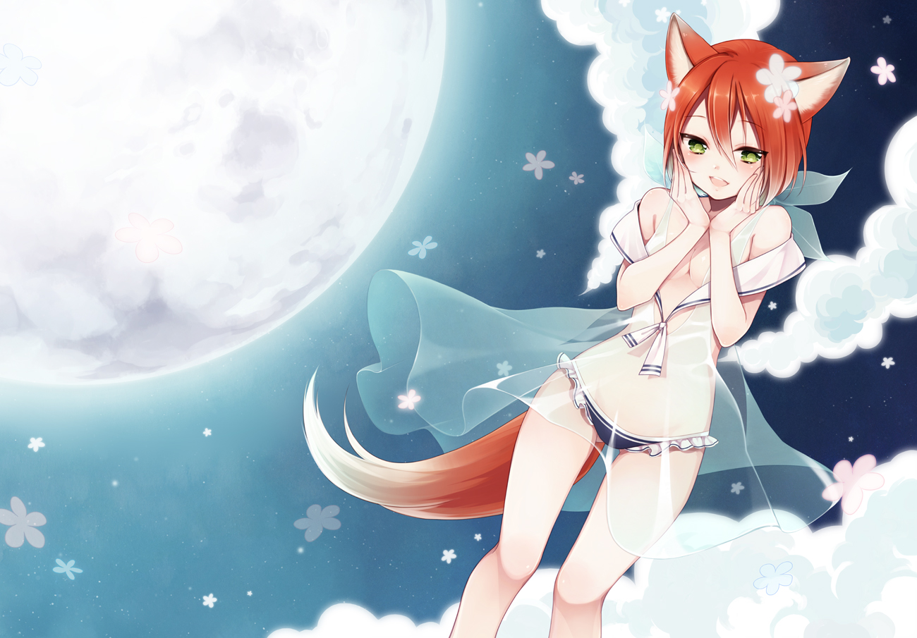 animal_ears, anz_(starry), breasts, cleavage, flowers, foxgirl, inazuma_eleven, kiyama_hiroto, moon, panties, tail, topless, underwear