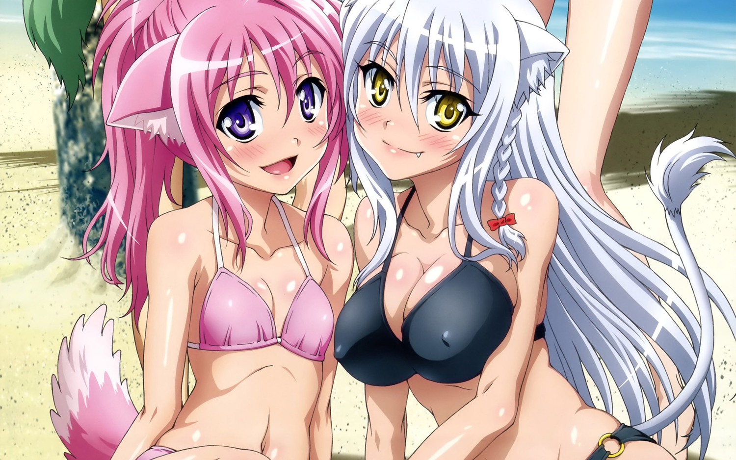 dog_days, leonmitchelli_galette_des_rois, millhiore_f_biscotti