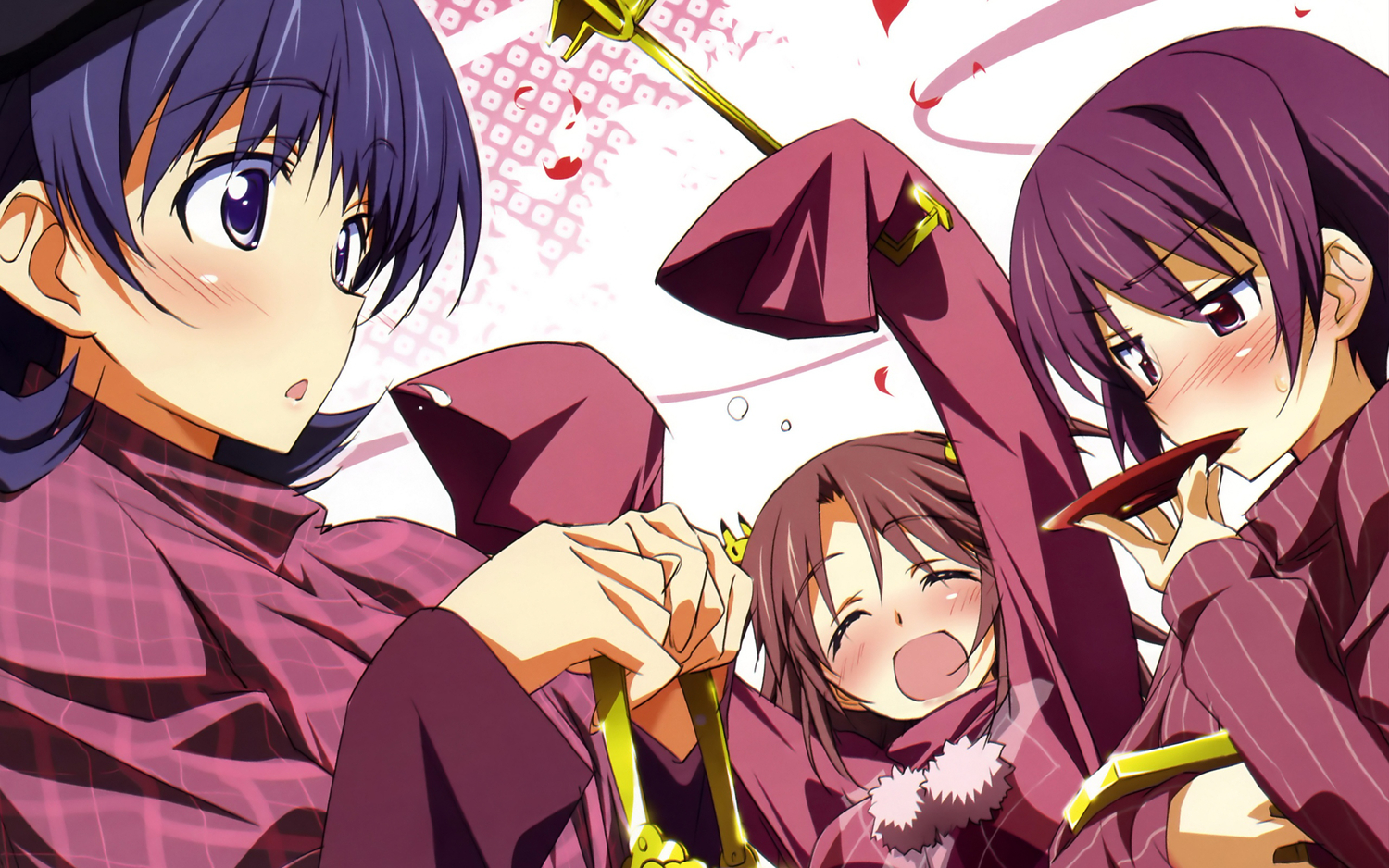 infinite_stratos, nohotoke_honne, shinonono_tabane