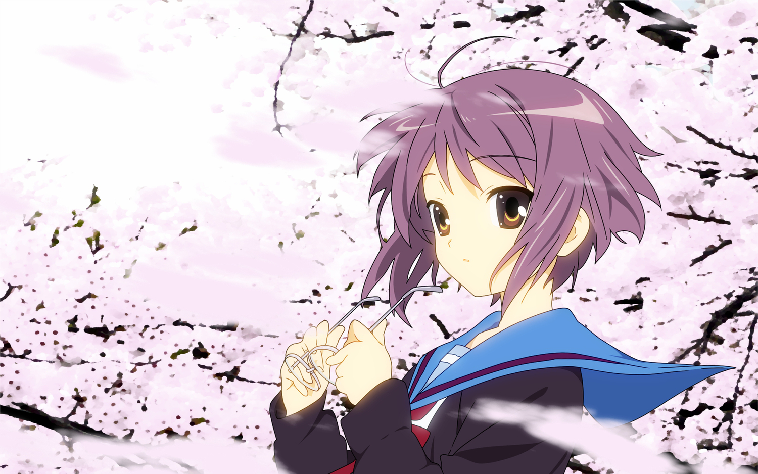 cherry_blossoms, flowers, glasses, min_(westsign2170), nagato_yuki, purple_hair, school_uniform, suzumiya_haruhi_no_yuutsu