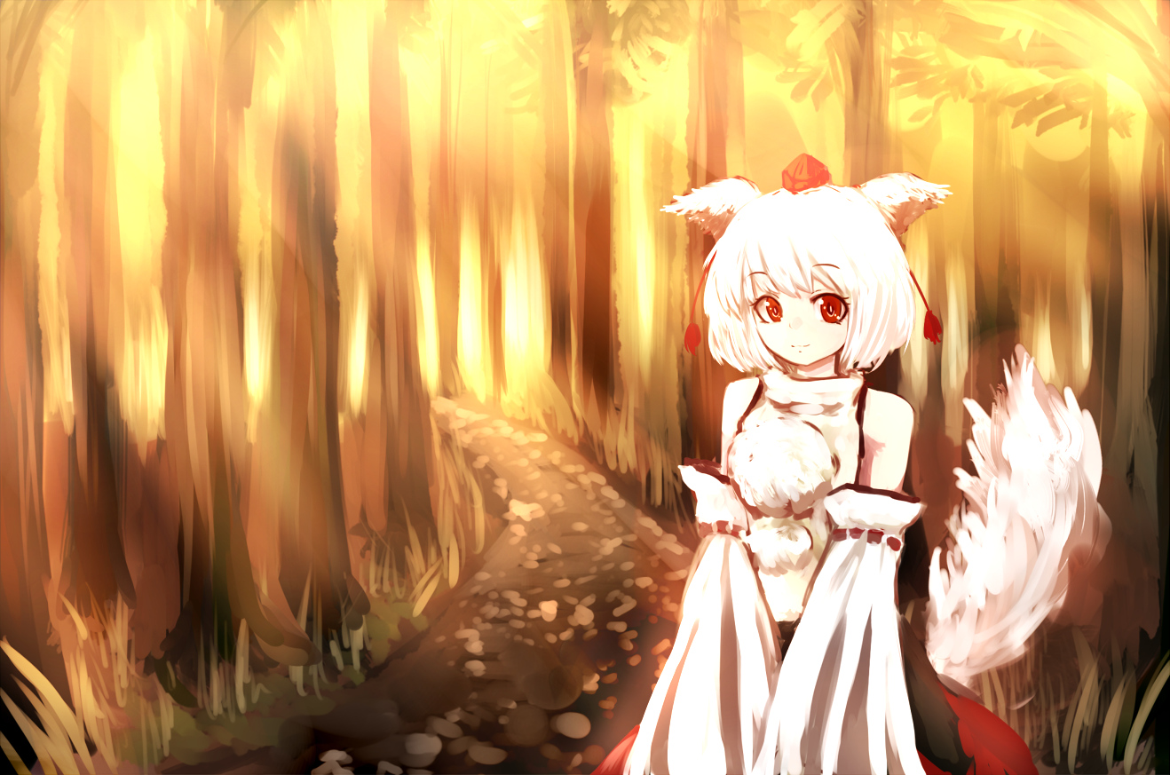 animal_ears, forest, hal360, hat, inubashiri_momiji, red_eyes, short_hair, tail, touhou, tree, white_hair, wolfgirl