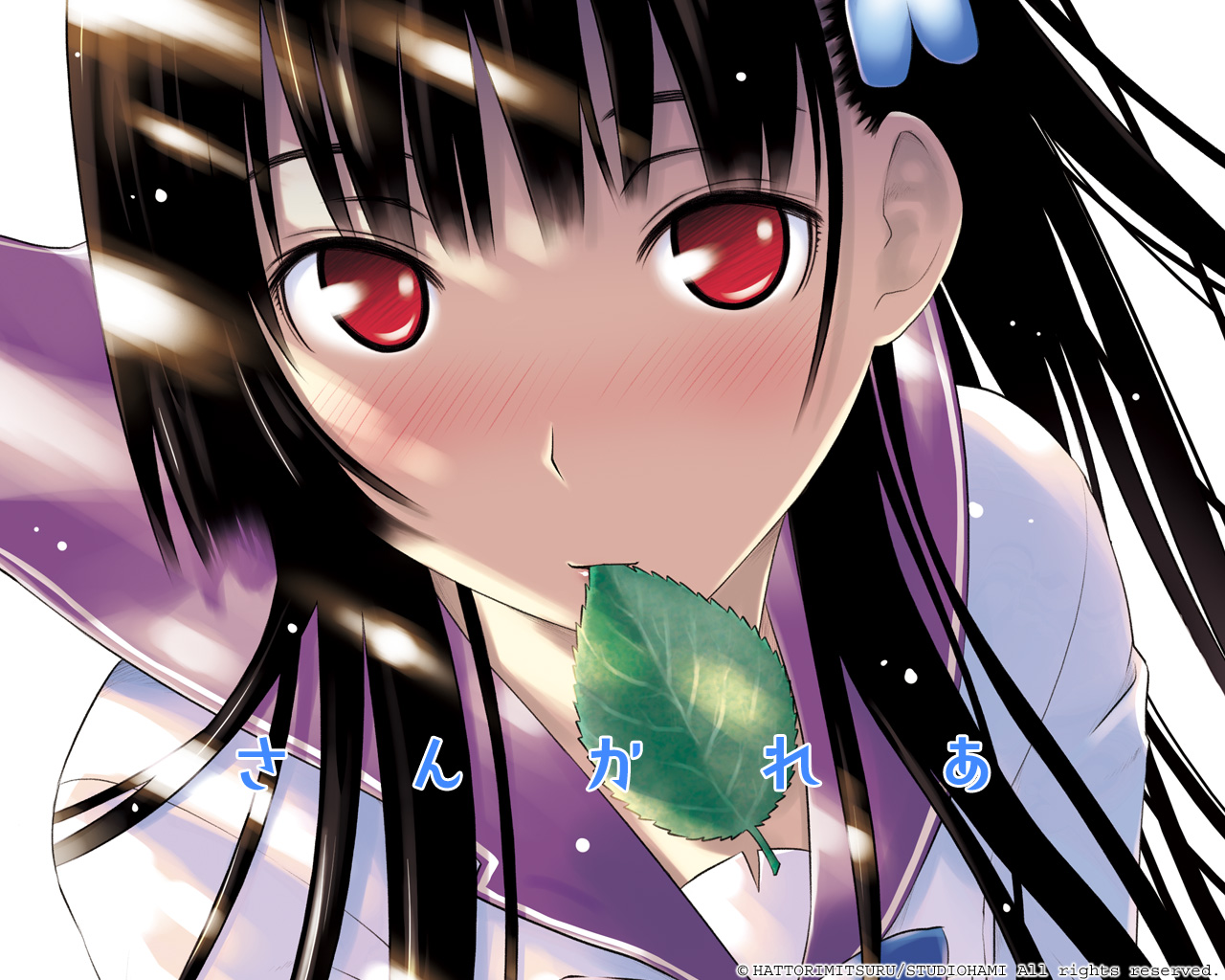 black_hair, blush, close, hattori_mitsuru, leaves, long_hair, red_eyes, sankarea