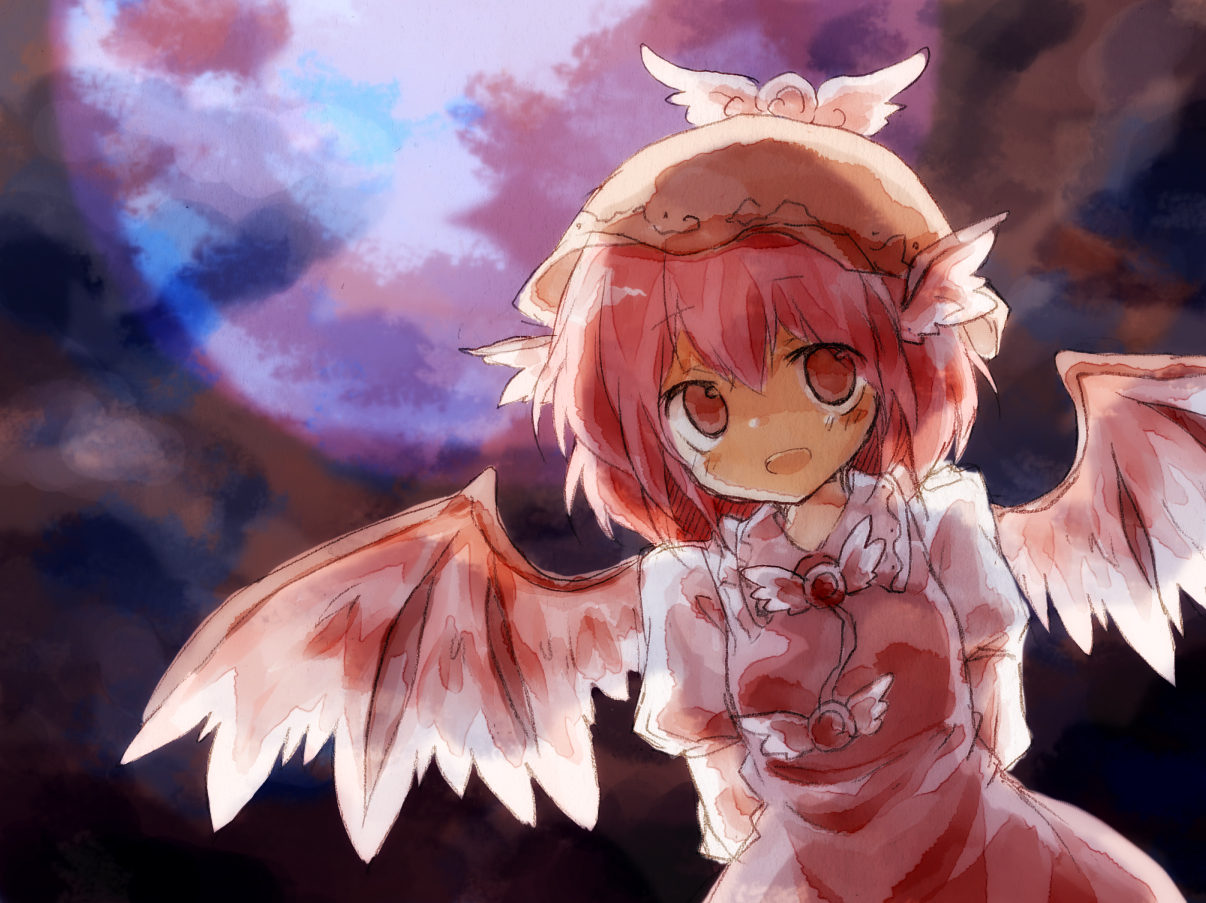 animal_ears, dress, hat, kinugasa_kaguya, moon, mystia_lorelei, night, pink_eyes