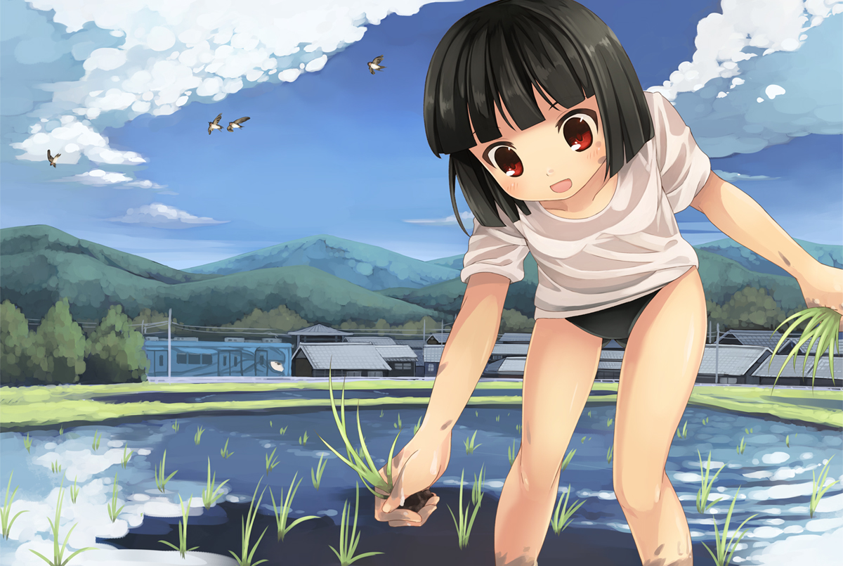 akemiho_tabi_nikki, animal, bird, black_hair, bloomers, fukube_tamaki, grass, kouno_hikaru