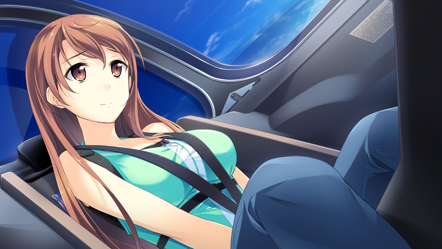 brown_hair, game_cg, kono_oozora_ni_tsubasa_wo_hirogete, long_hair, mochizuki_amane, sky