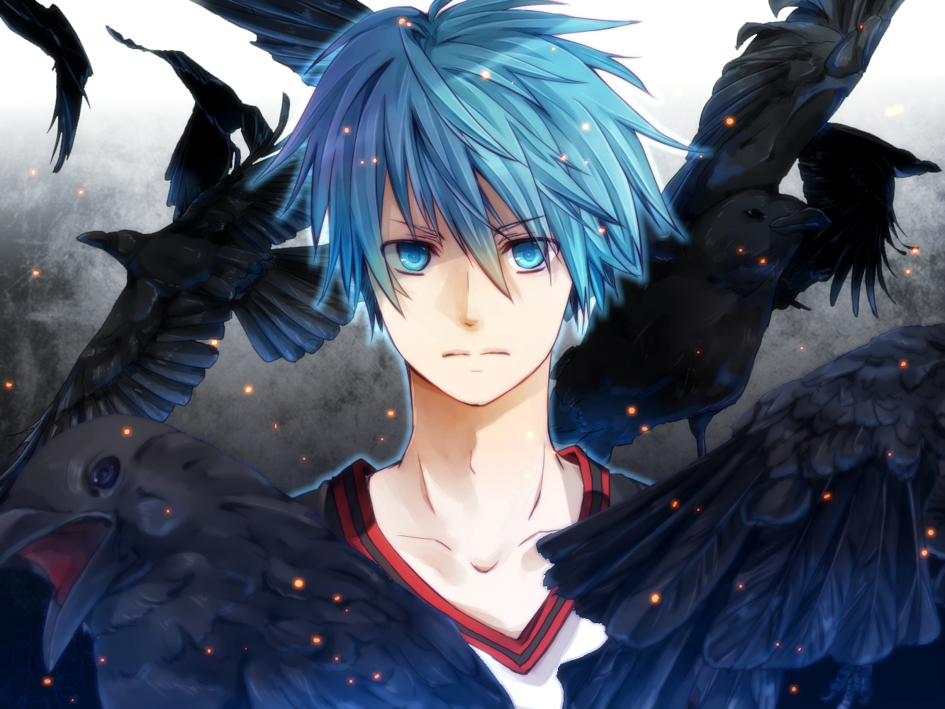 all_male, animal, aqua_eyes, aqua_hair, bird, close, kuroko_no_basket, kuroko_tetsuya