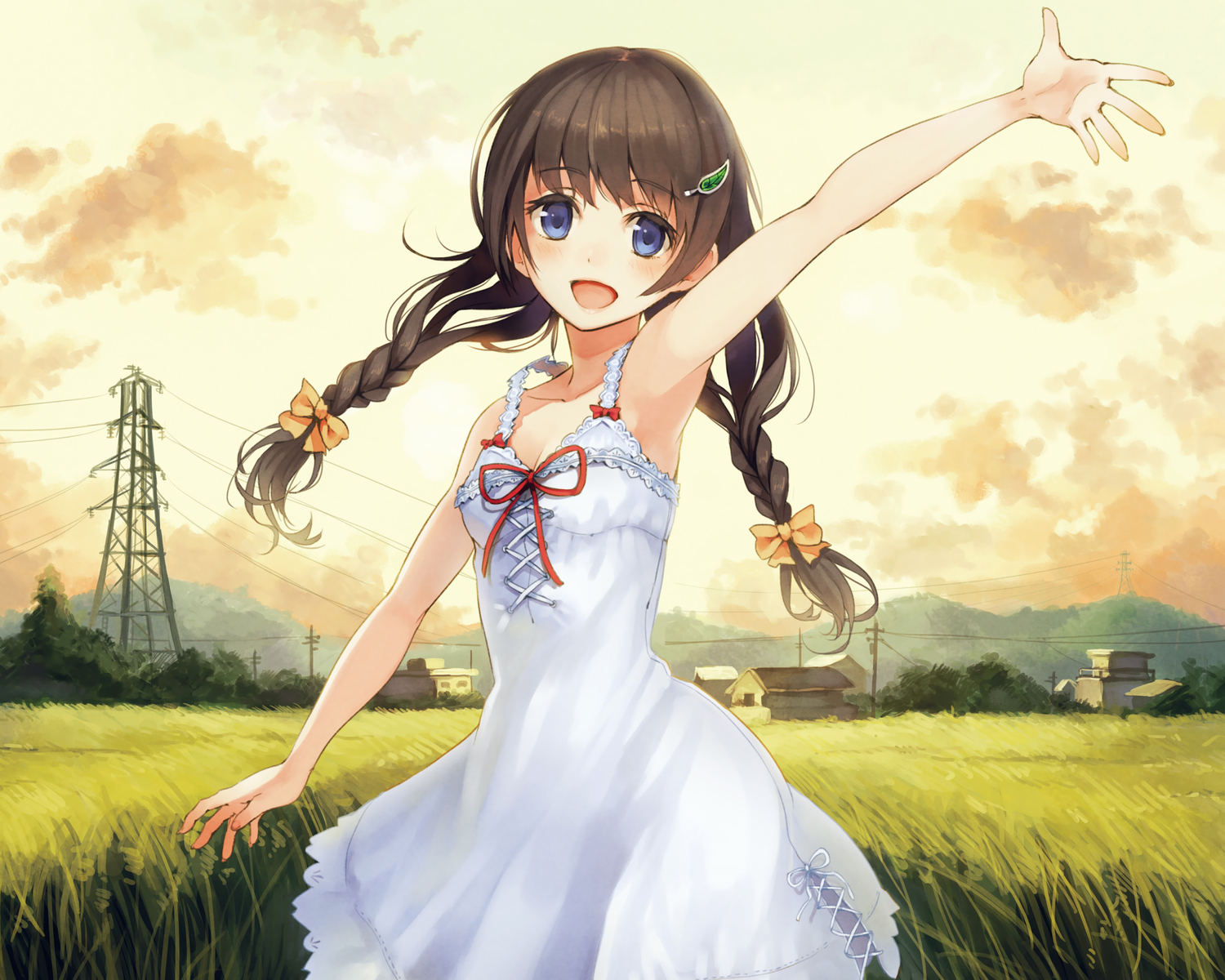 braids, brown_hair, cropped, dress, long_hair, original, paseri, sky