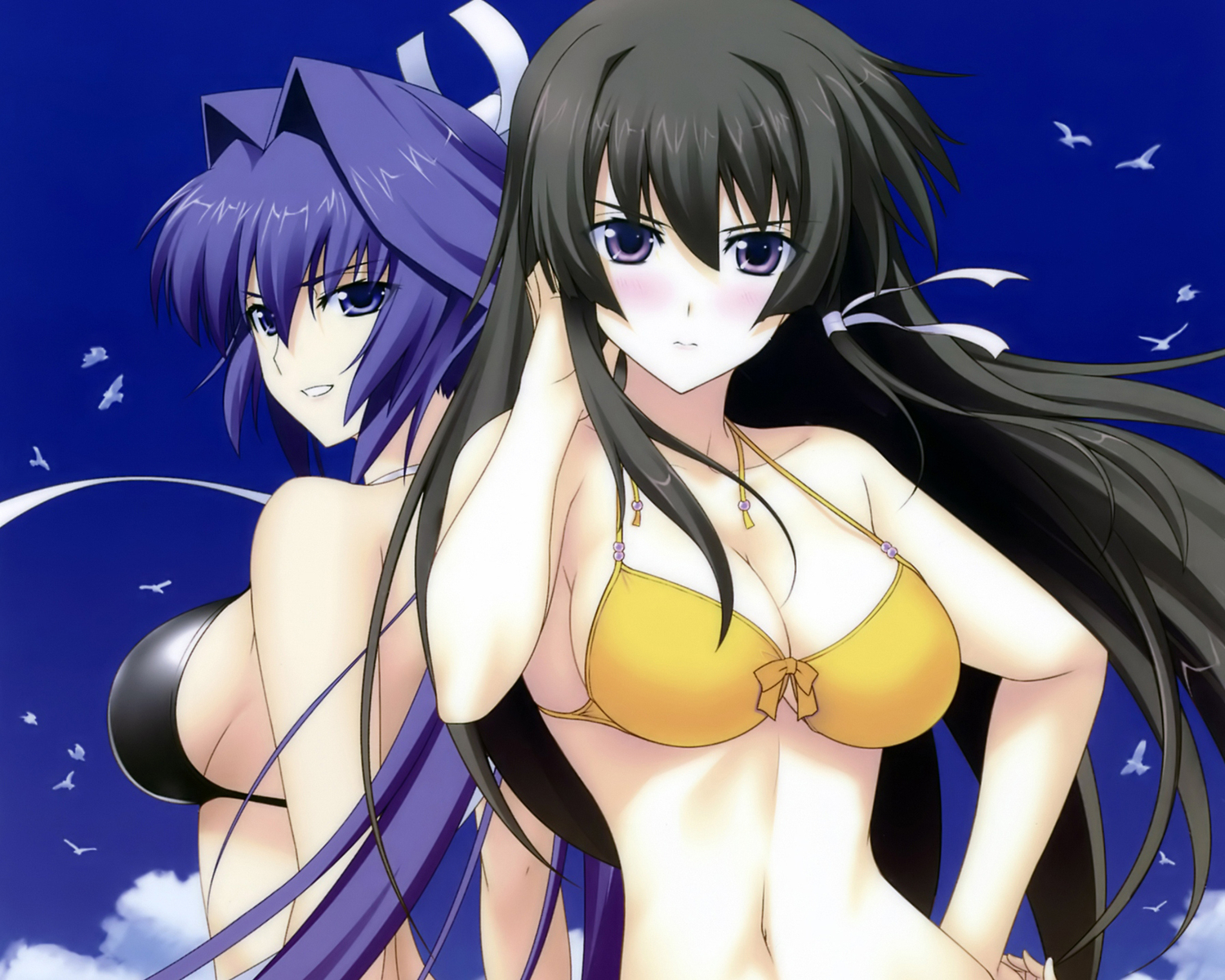 2girls, bikini, black_hair, breasts, cleavage, long_hair, makishima_azusa, mitsurugi_meiya