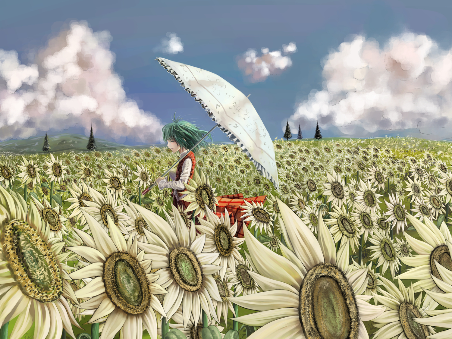clouds, flowers, green_hair, kazami_yuuka, marubororaito, short_hair, sunflower, touhou, umbrella