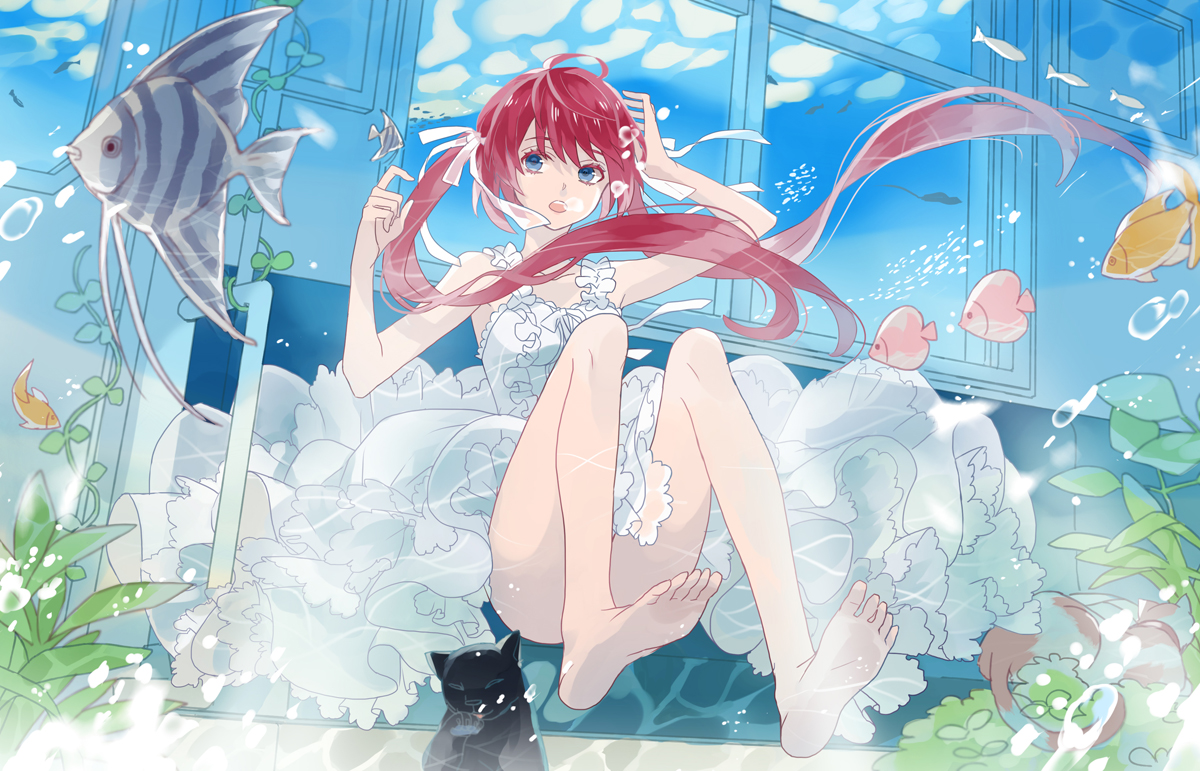 animal, barefoot, blue_eyes, bubbles, cat, dress, fish, long_hair
