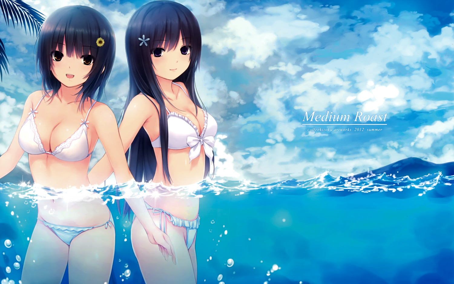2girls, aoyama_sumika, bikini, black_hair, breasts, brown_eyes, cleavage, clouds