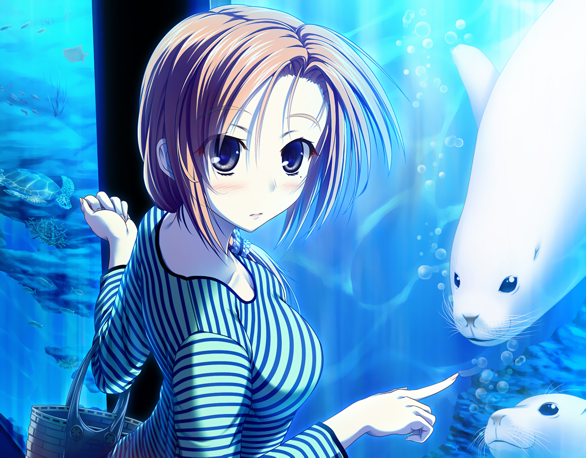 animal, blue_eyes, blush, brown_hair, long_hair, original, ponytail, ulisutariasu