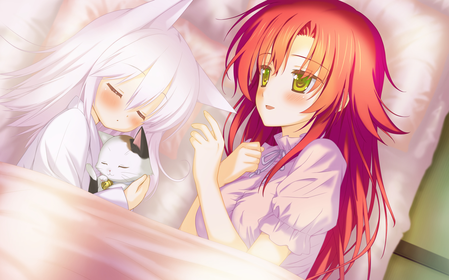 2girls, animal, animal_ears, bed, blush, cat, favorite, foxgirl