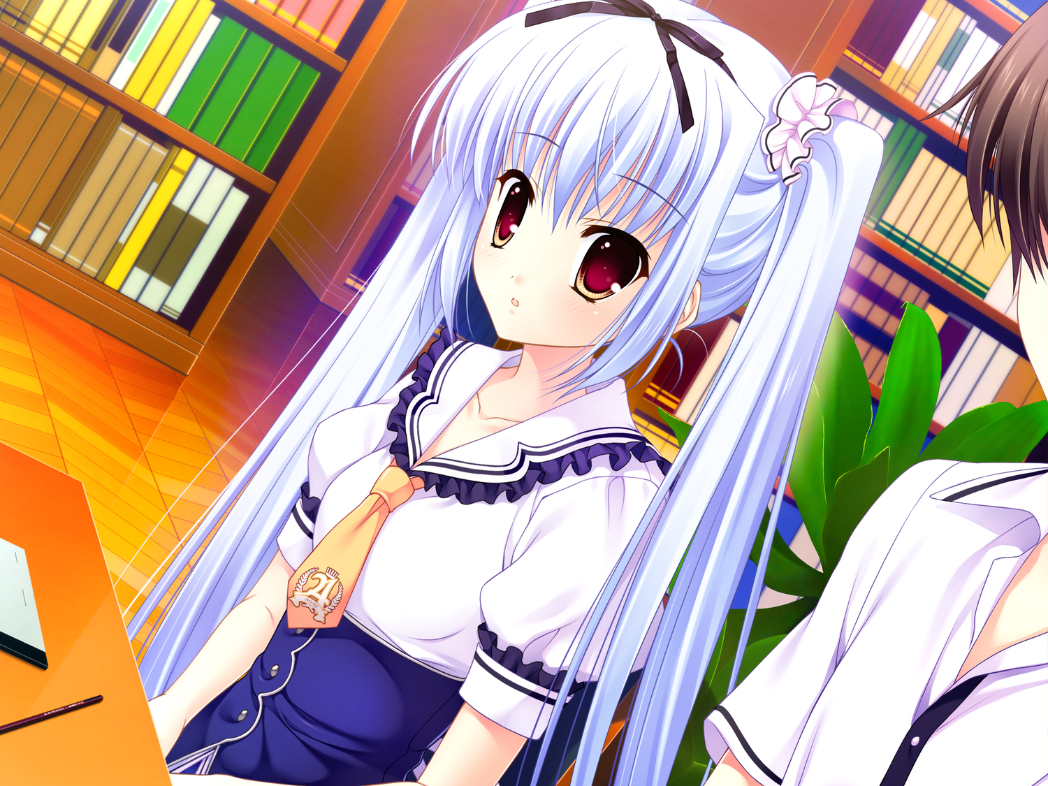 amagami_akito, book, brown_eyes, flat_chest, game_cg, kusunoki_kukune, long_hair, mitha
