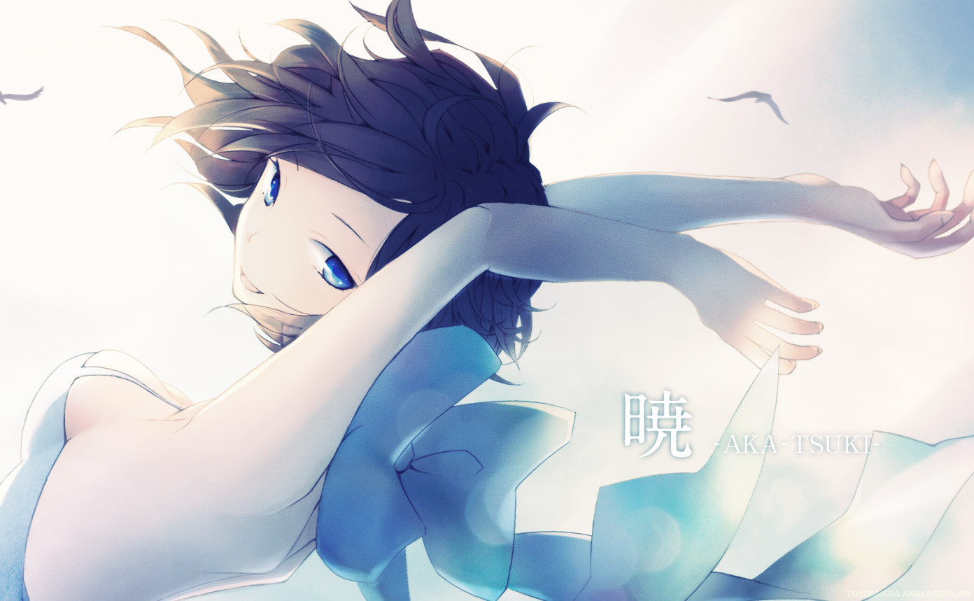 anko_anko, meiko, vocaloid