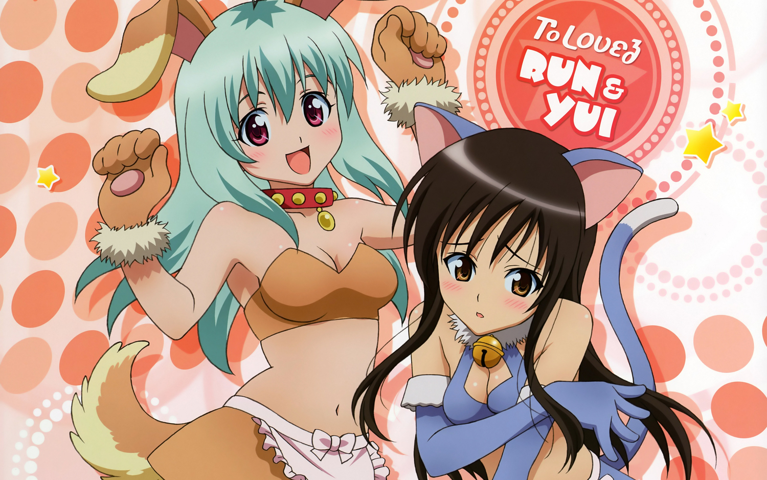 animal_ears, apron, bell, black_hair, breasts, bunny_ears, bunnygirl, catgirl