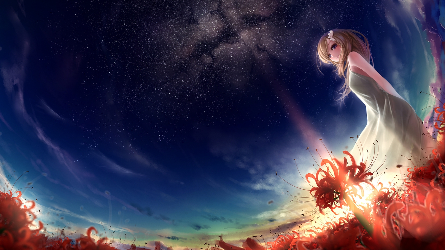 dress, flowers, long_hair, original, rail_(silverbow), sky, stars