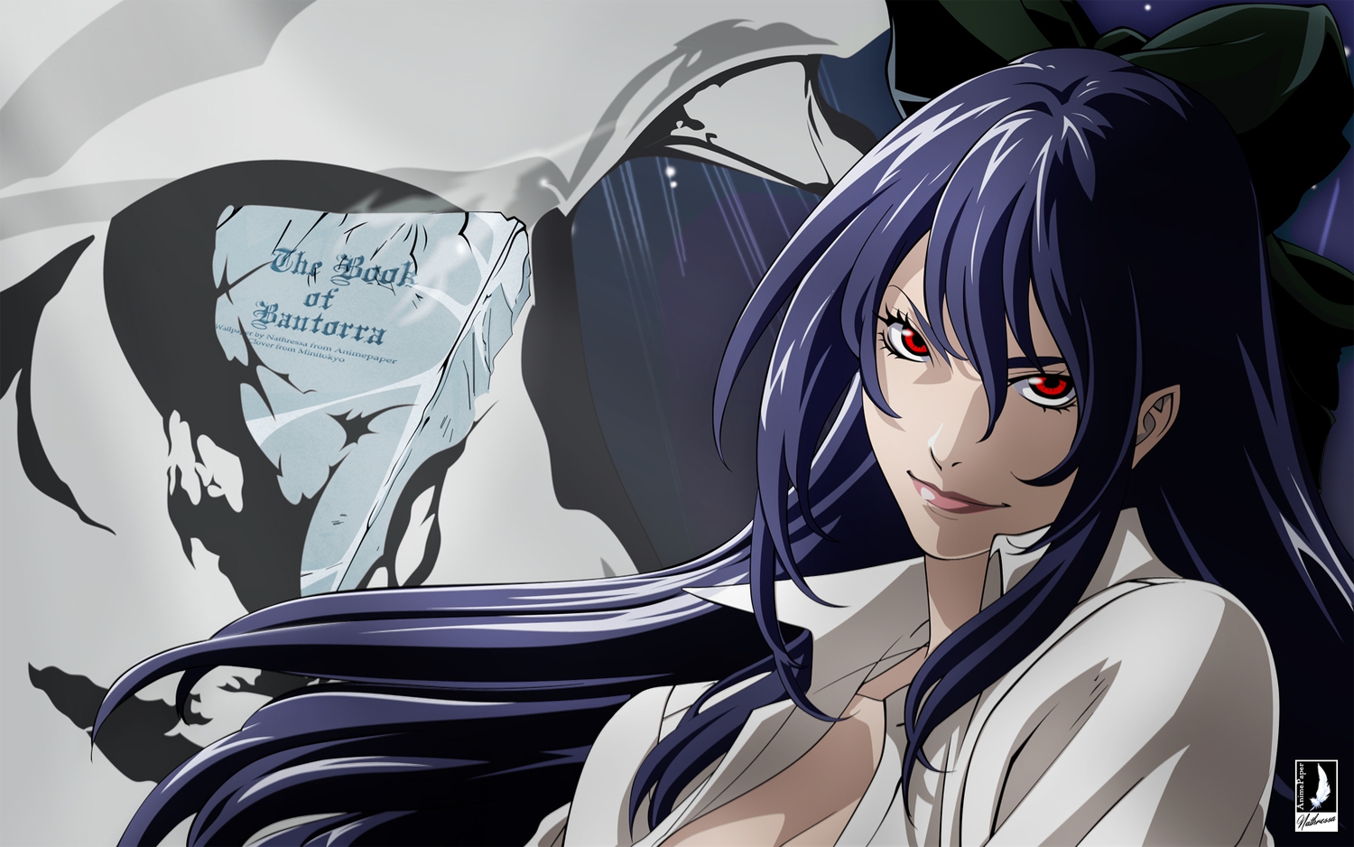 hamyuts_meseta, tatakau_shisho:_the_book_of_bantorra, vector