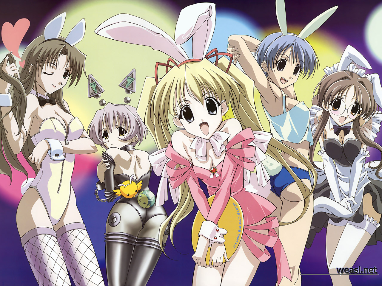animal_ears, breast_hold, bunny_ears, bunnygirl, gokajo_satsuki, happy_lesson, ichimonji_mutsuki, leotard