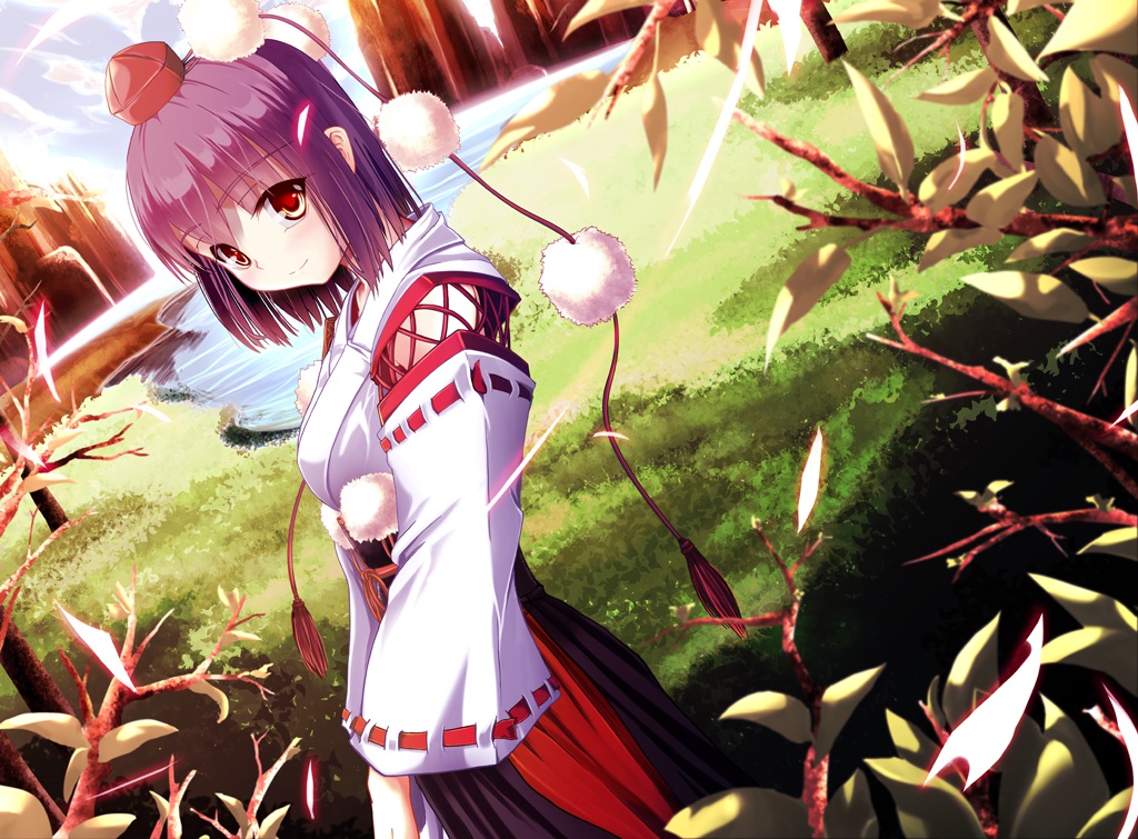 grass, japanese_clothes, miko, purple_hair, red_eyes, shameimaru_aya, short_hair, touhou, water, windfeathers
