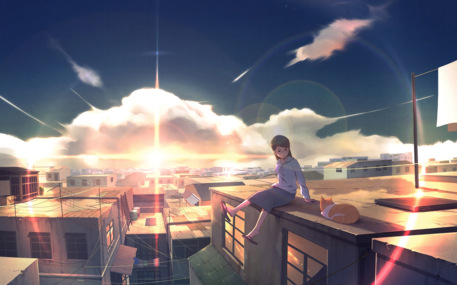 animal, building, cat, city, clouds, glasses, original, rooftop, scenic, skirt, sky, sunset, wack