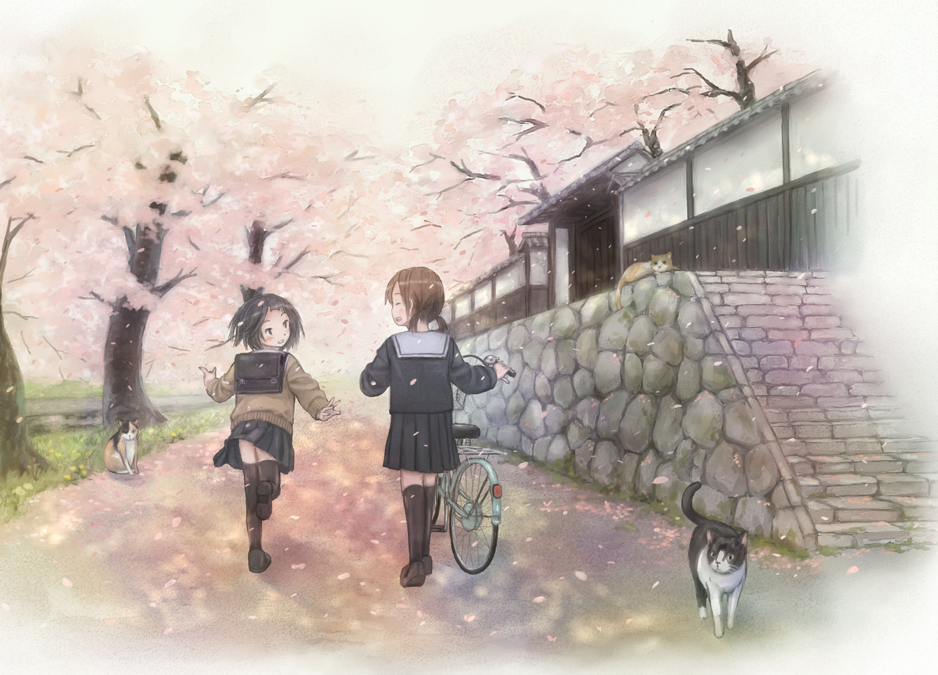 animal, black_hair, brown_hair, cat, cherry_blossoms, flowers, original, school_uniform