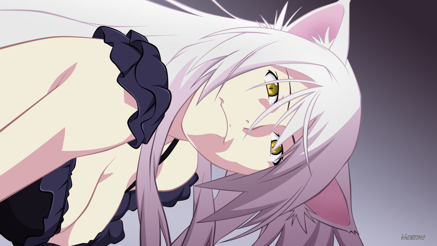 animal_ears, bakemonogatari, close, hanekawa_tsubasa, monogatari_(series), morrow, nekomonogatari