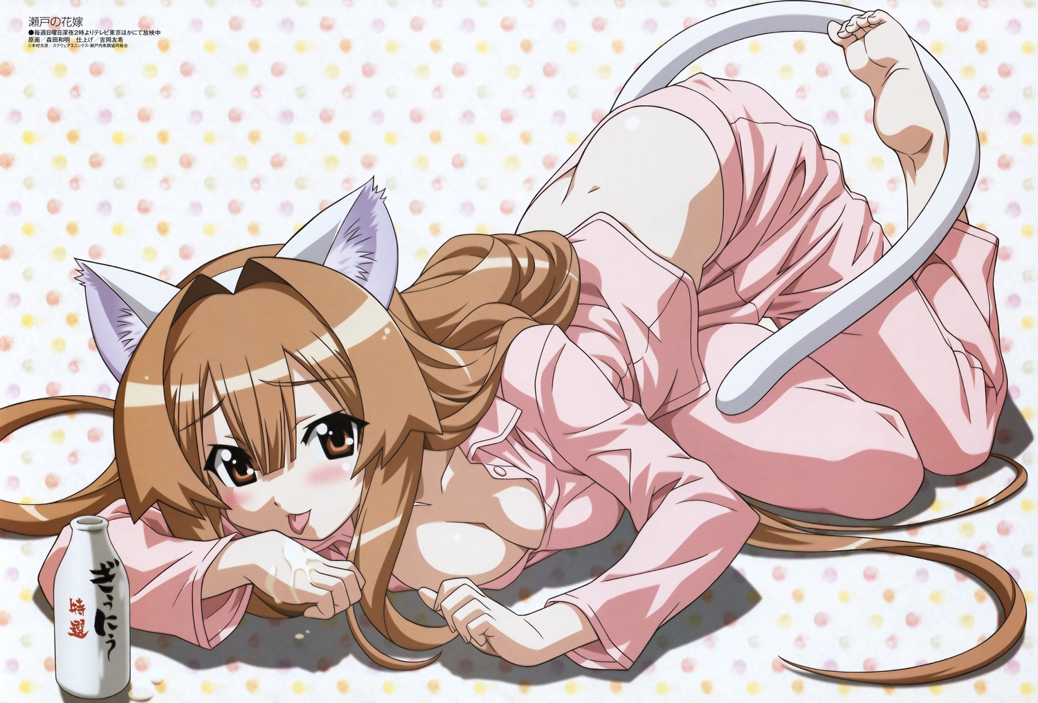 animal_ears, catgirl, scan, seto_no_hanayome, seto_san