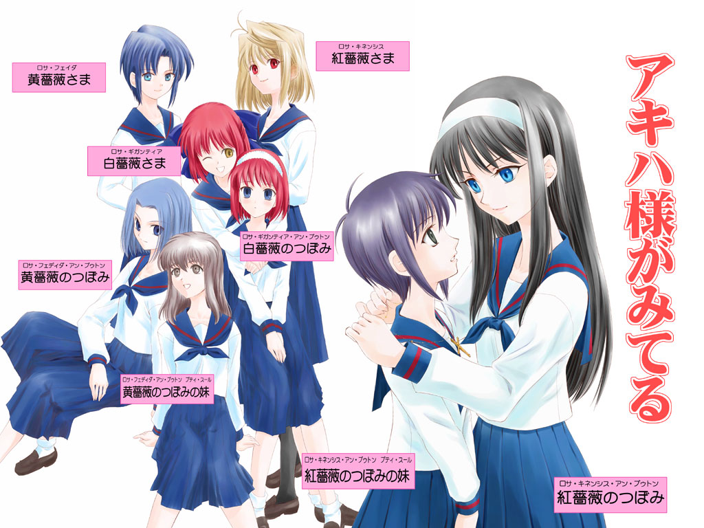 arcueid_brunestud, ciel_(tsukihime), crazy_clover_club, hisui, kohaku, maria-sama_ga_miteru, misawa_hanei, seo_akira